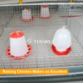 China Chicken Cage Zucht-System zum Verkauf